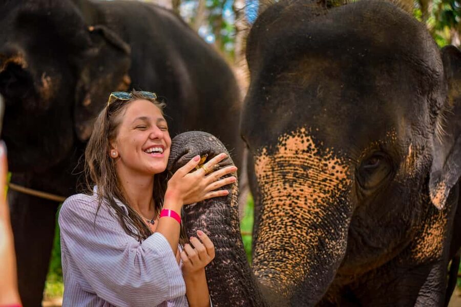Phuket: Make & Meet The Gentle Giant Experience - Practical preparation before you go