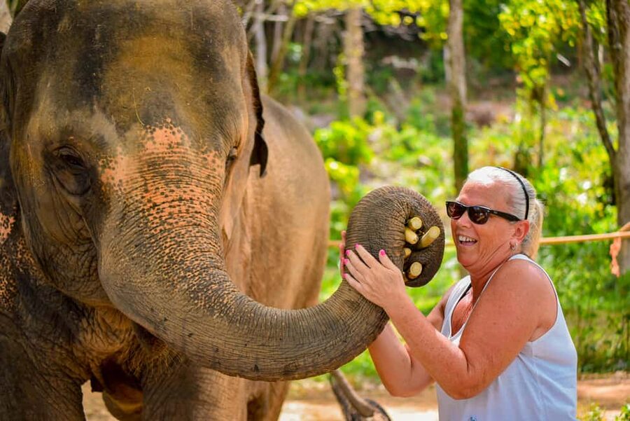 Phuket: Make & Meet The Gentle Giant Experience - Making vitamin balls from sticky rice and bananas