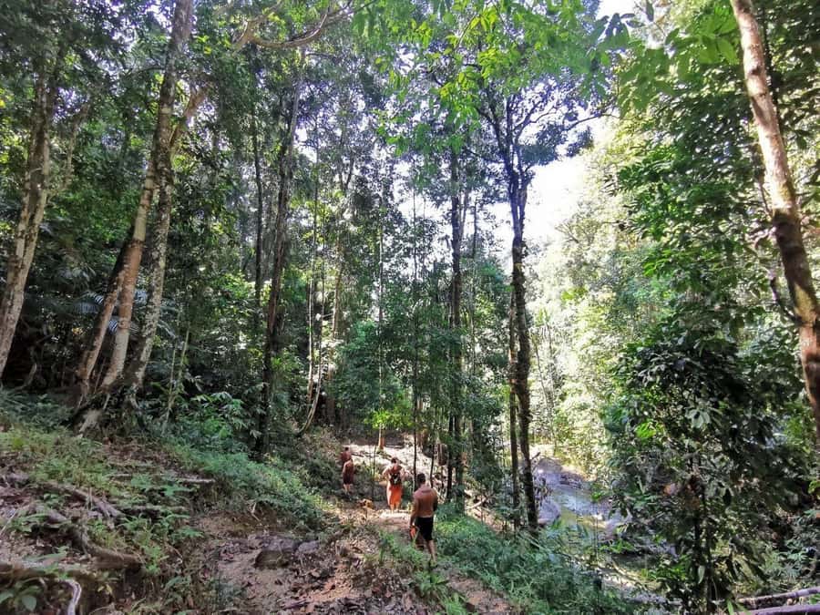 Phuket: Monkey Cave, Water Rafting, Zipline with ATV Option - Who should choose this experience?