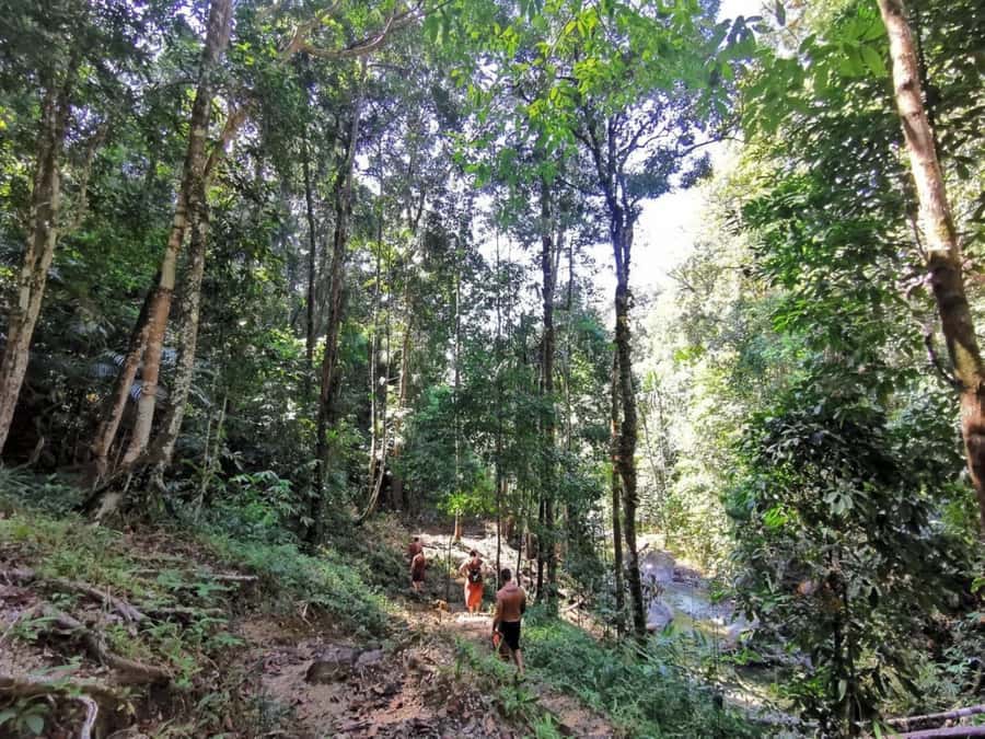 Phuket: Monkey Cave, Water Rafting, Zipline with ATV Option - Lunch and the optional 30-minute ATV ride