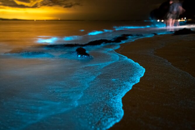 Phuket: Phang Nga Bay Bioluminescent Plankton and Sea Canoes tour - Why this Phang Nga Bay day works so well