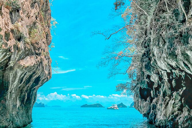 Phuket: Phang Nga Bay Bioluminescent Plankton and Sea Canoes tour - The bioluminescent plankton experience