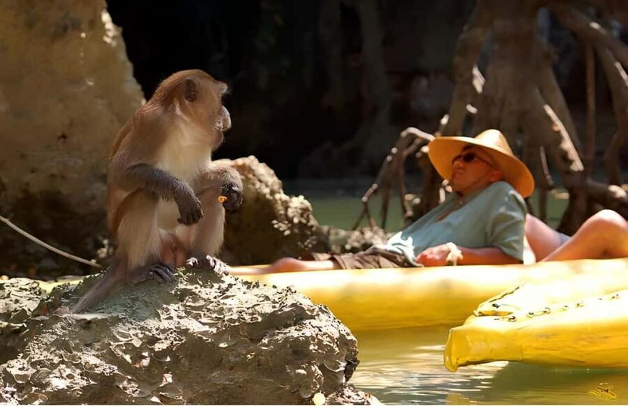 Phuket: Phang Nga,Hong & James Bond Islands by Big Boat - Key points before you book