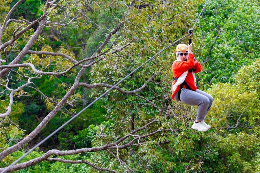 Phuket: Rainforest Eco Zipline Expedition - Should you book the Phuket rainforest zipline?