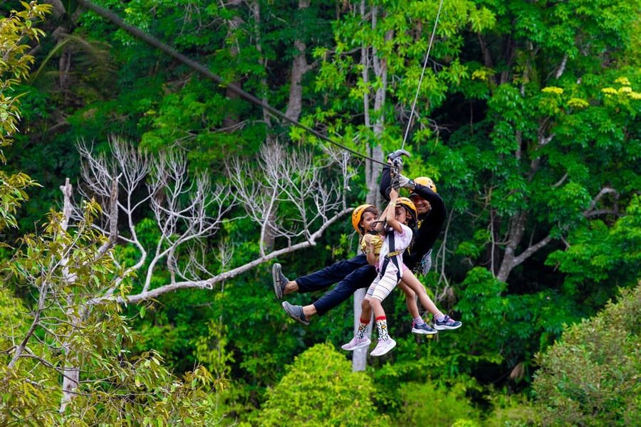 Phuket: Rainforest Eco Zipline Expedition - Wooden platforms among Phuket’s old trees