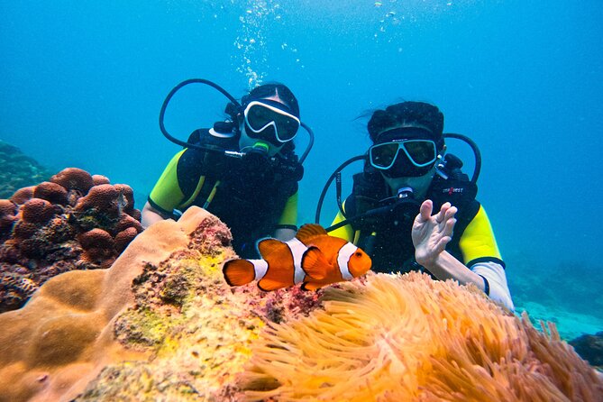 Phuket Scuba Diving: Racha Island Or Maiton Island For All Levels - Key points to know before booking