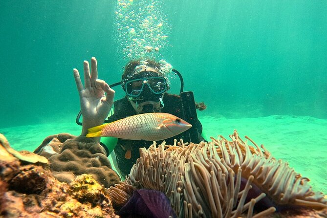 Phuket Scuba Diving: Racha Island Or Maiton Island For All Levels - Racha Noi is the choice for more underwater time