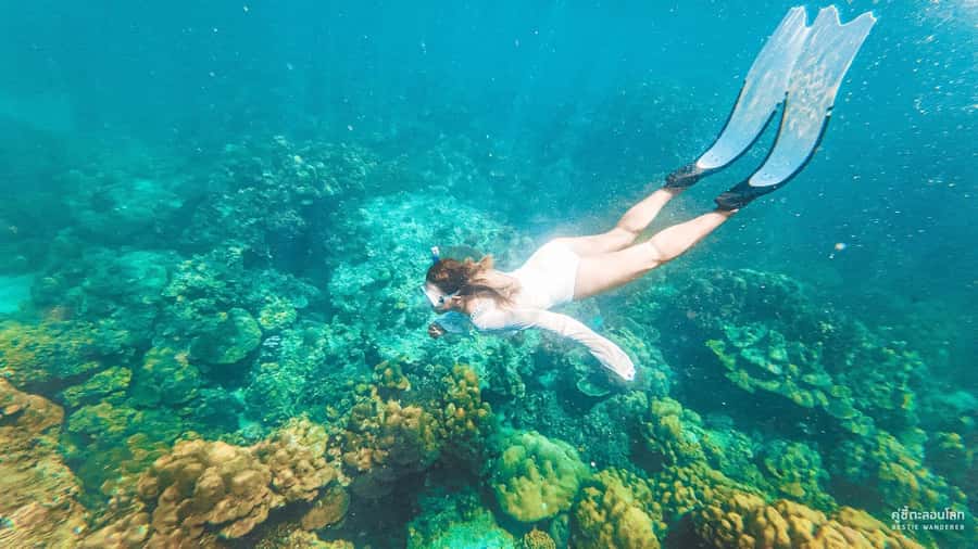 Phuket: Speedboat Day Trip to Phi Phi and Maya Bay - The 1.5-hour speedboat ride to Phi Phi