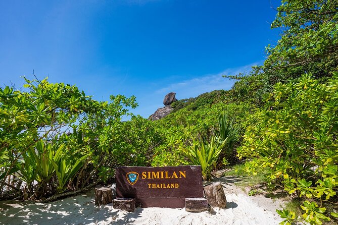 Phuket to Similan Islands Snorkeling Tour - Why this Phuket day trip is worth considering