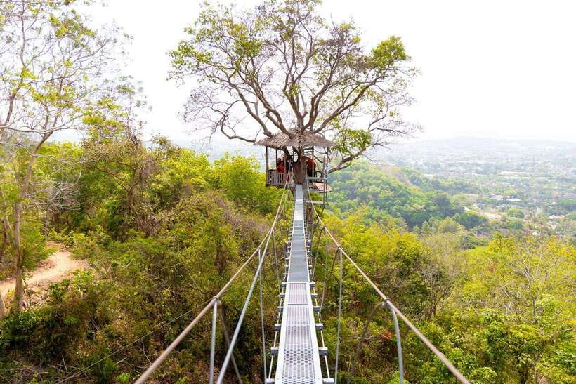 Phuket: Zipline Flying Higher than a Hawk with ATV Option - Flying above Phuket’s jungle