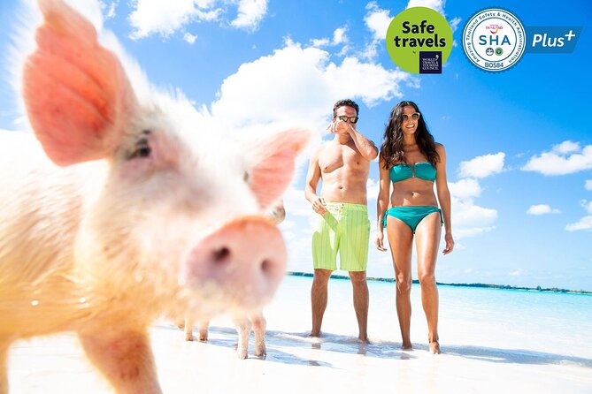 Pig Feeding, Kayaking, Snorkeling Trip at Pig Island By Speedboat From Koh Samui - The speedboat ride to Koh Tan