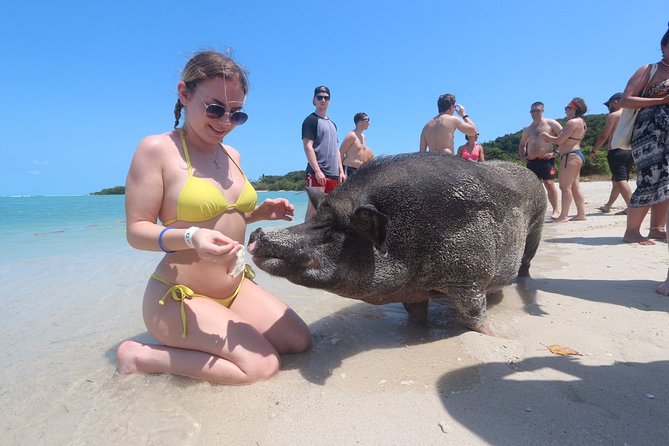Pig Feeding, Kayaking, Snorkeling Trip at Pig Island By Speedboat From Koh Samui - Kayaking, swimming, and beach time