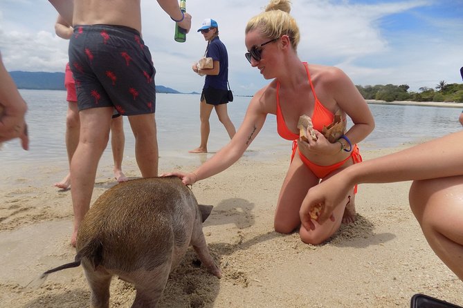 Pig Feeding, Kayaking, Snorkeling Trip at Pig Island By Speedboat From Koh Samui - The biggest issue: waiting around