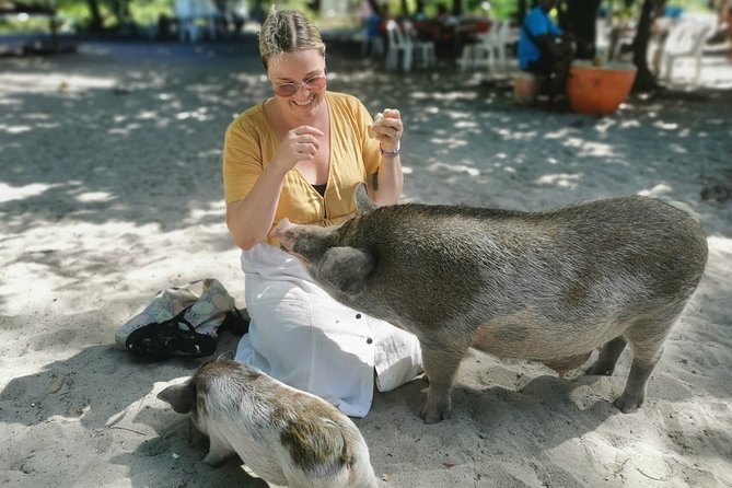 Pig Feeding, Kayaking, Snorkeling Trip at Pig Island By Speedboat From Koh Samui - Starting from Koh Samui at 8:30 a.m.