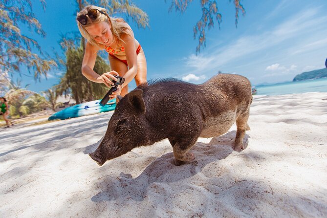Pig Island Private Longtail Boat Trip From Koh Samui - What the private price really buys you