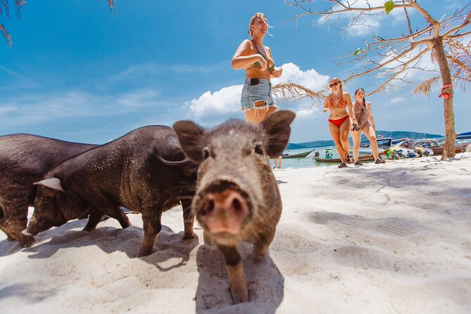 Pig Island Private Longtail Boat Trip From Koh Samui - Who will enjoy this trip most