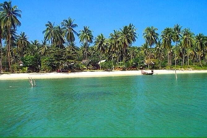 Pig Island ,Snorkeling, Private Long Tail Boat (Local Thai Experience) - What this private Koh Samui boat trip is really like
