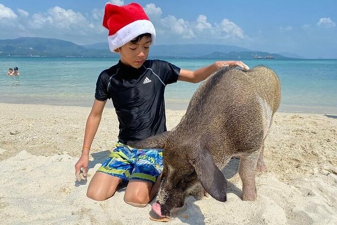 Pig Island ,Snorkeling, Private Long Tail Boat (Local Thai Experience) - Koh Tan snorkeling, pleasant when the water cooperates