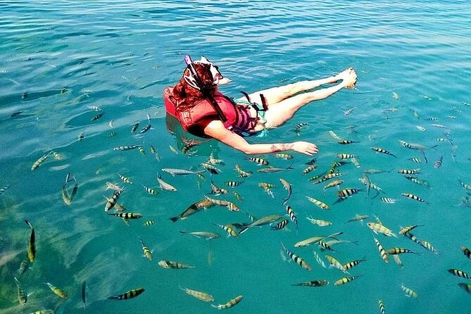 Pig Island ,Snorkeling, Private Long Tail Boat (Local Thai Experience) - Koh Madsum, where the pigs steal the day