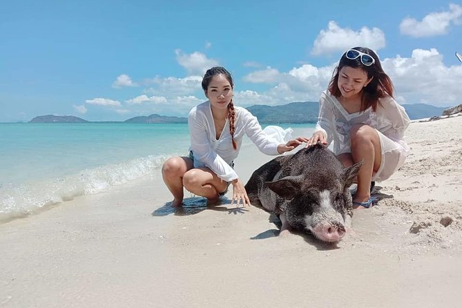 Pig Island Snorkeling & Sightseeing Tour By Speedboat From Koh Samui - Lunch, water, and the value of $47.62