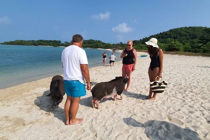 Pig Island Snorkeling & Sightseeing Tour By Speedboat From Koh Samui - Speedboat comfort, group size, and pickup concerns
