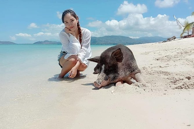 Pig Island Snorkeling & Sightseeing Tour By Speedboat From Koh Samui - Should you book the Pig Island speedboat tour?