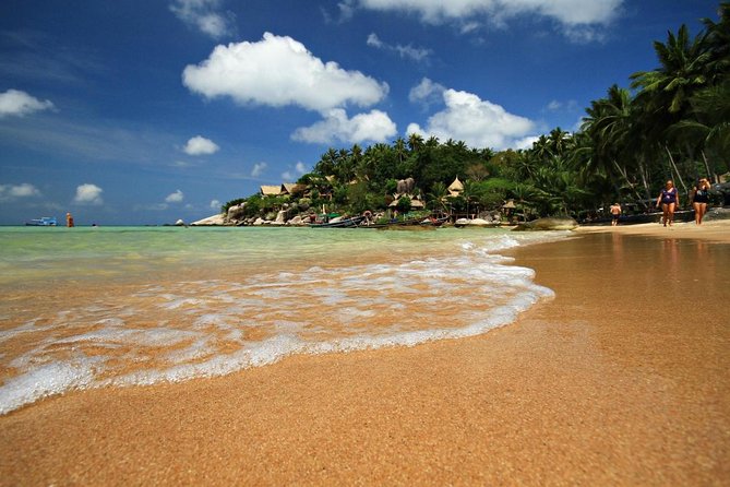 Pig Island Tour by Speedboat with Snorkeling - Quick points before you book