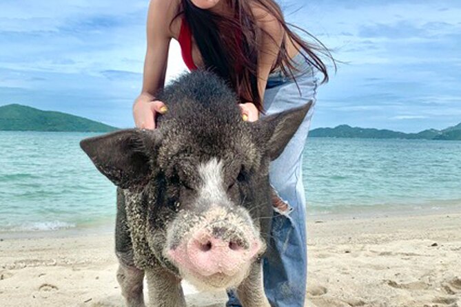 Pig Island Tour by Speedboat with Snorkeling - What the $58.70 price really covers
