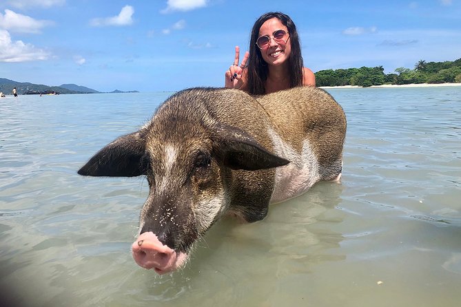 Pigs Island exclusive Semi VIP - The Morning Pickup and Speedboat Departure