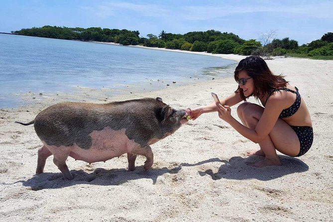 Pigs Island exclusive Semi VIP - How the Price Compares with the Experience