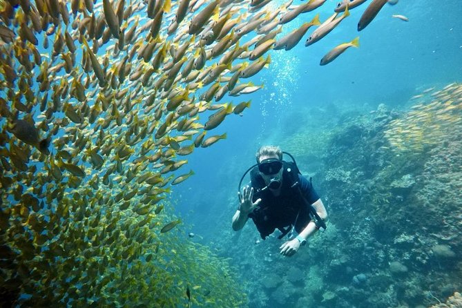 Premium Guided Scuba Diving Day Trip for Certified Divers - Why this small Phuket boat is worth considering