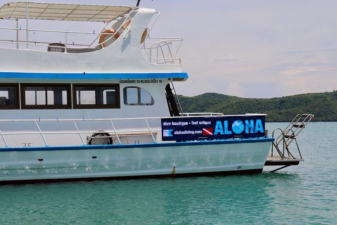 Premium Guided Scuba Diving Day Trip for Certified Divers - Practical limits and cancellation risk
