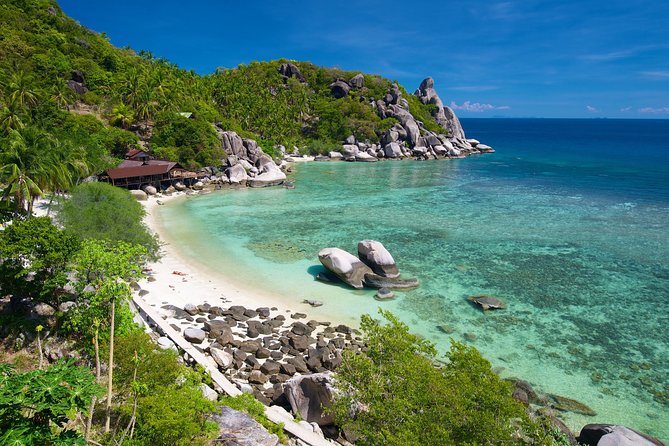 Premium Snorkel Tour to the Bays of Koh Tao onboard the Oxygen - Hin Wong Bay and colorful fish