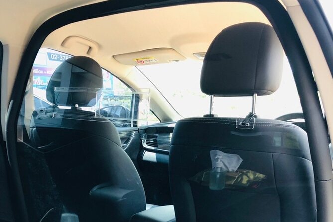Private 100% Electric Transfer: Bangkok Airport Pickup/Drop-Off - The electric vehicle is the main attraction