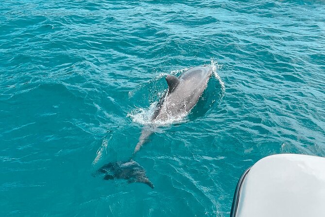 Private Boat Tour with Dolphin Spotting and Snorkelling from Phuket - Why this private Phuket boat day works well