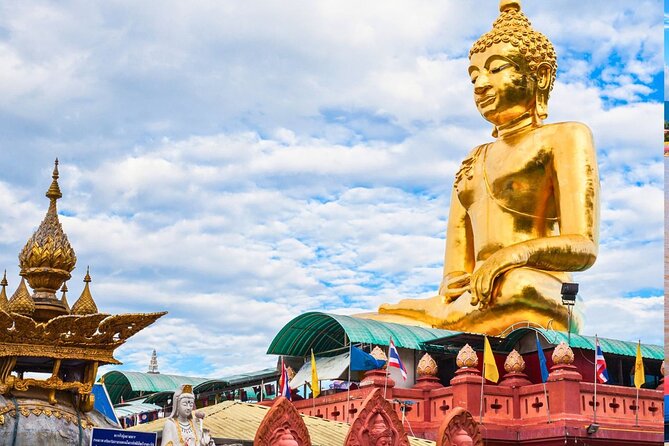 Private Chiang Rai Day Trip with Golden Triangle from Chiang Mai - Choui Fong Tea Plantation brings open views