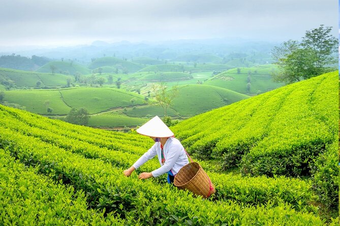 Private Chiang Rai Day Trip with Golden Triangle from Chiang Mai - Chiang Rai lunch keeps the schedule moving