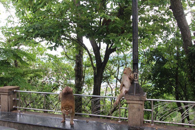 Private food Tour + Sightseeing +Thai Cooking class - The small-group format and guide service