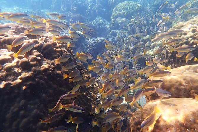 Private Full-Day Red Dragon Yacht to Angthong National Marine Park - Ko Wao Yai is the main snorkeling stop