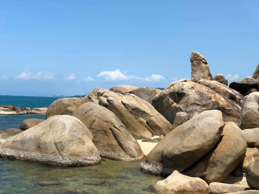 Private Group Half-Day City Tour Around Koh Samui - A fast, practical look at Koh Samui