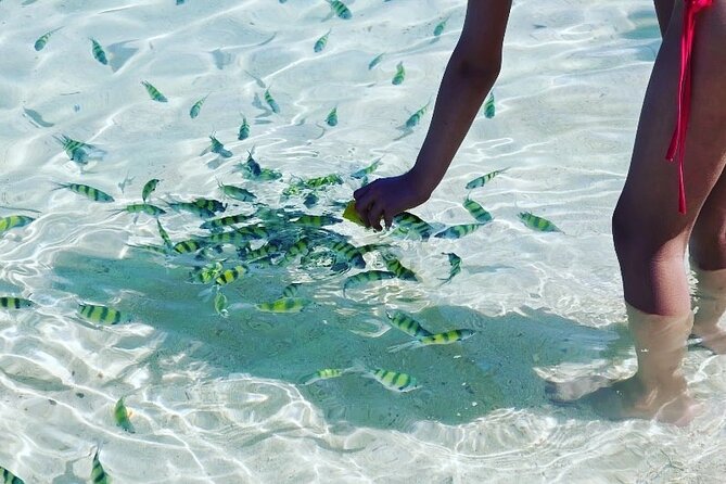 Private Longtail Boat Tour to Hong Islands - Guides Who Add the Personal Touch