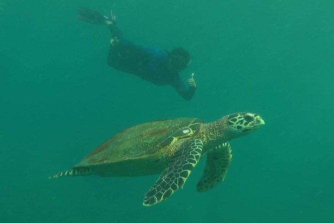 Private Phi Phi & 4 Islands Sunset Cruise by Speedboat - from Krabi - What the guide and crew add