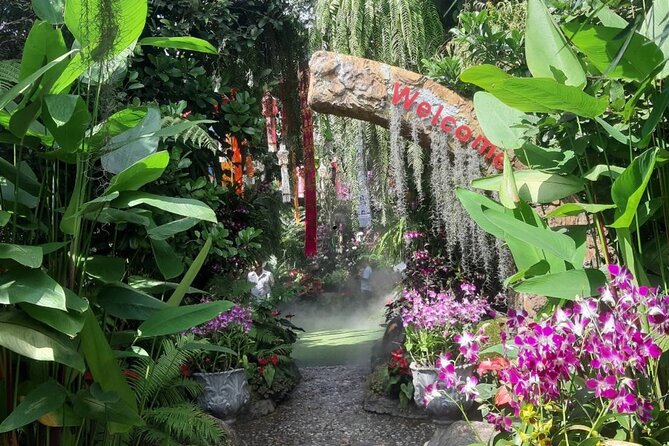 Private Tour Chiang Rai 3 Wonderful Temples & Lalitta Cafe - The three-hour ride from Chiang Mai