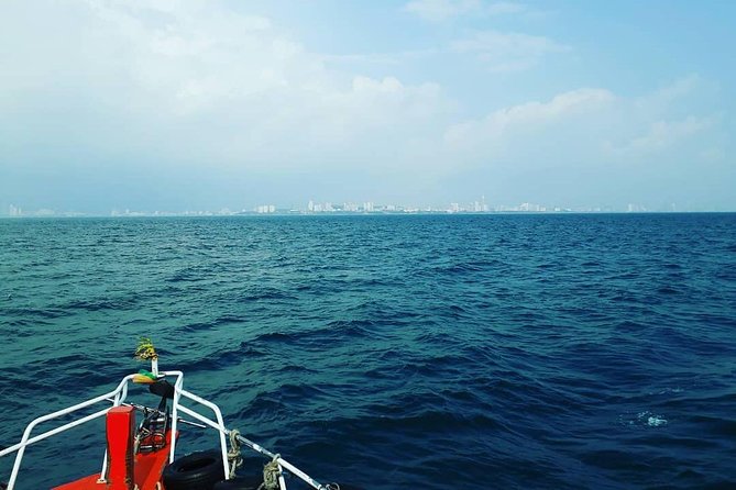 Racha & Coral Island Day Trip by Speedboat - Lunch Included - How the schedule affects your day