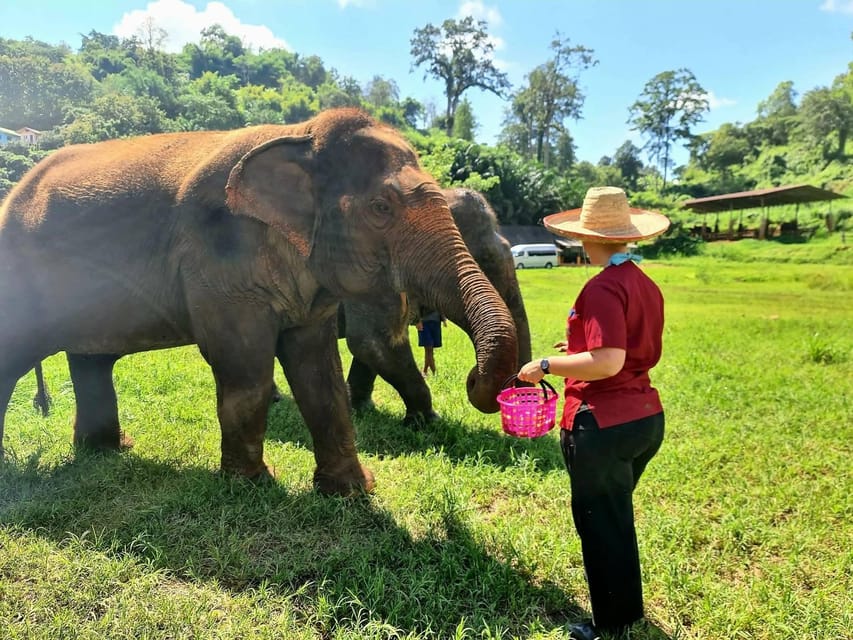 Rantong elephant sanctuary Chiangmai - Who should book Rantong Elephant Sanctuary?