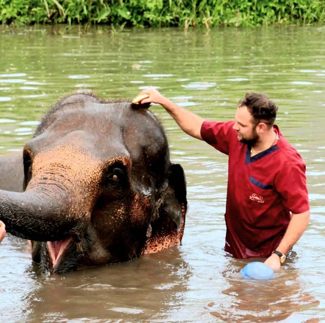 Rantong elephant sanctuary Chiangmai - Meeting the elephants and feeding them
