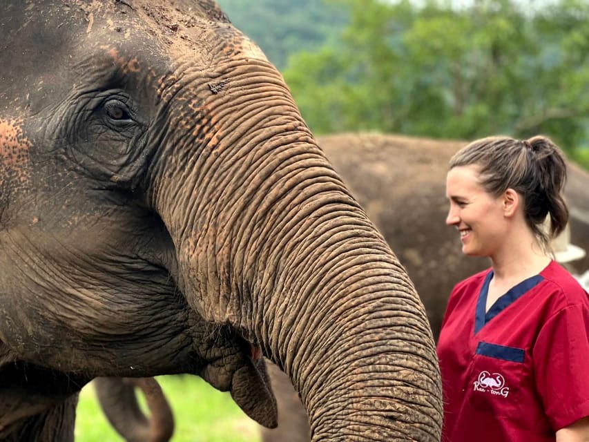Rantong elephant sanctuary Chiangmai - Bathing, changing clothes, and the ethical question