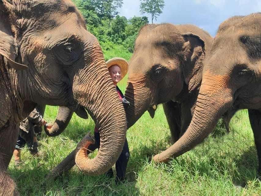 Rantong elephant sanctuary Chiangmai - Food and the small comforts that improve the day