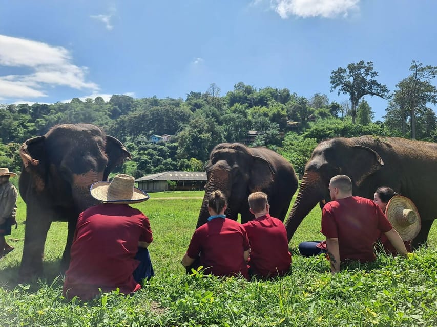 Rantong elephant sanctuary Chiangmai - Guides, languages, and access
