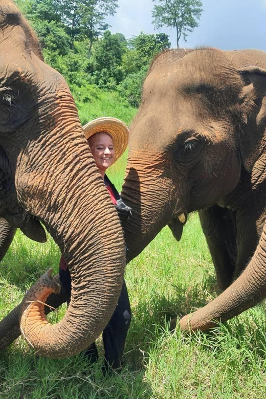 Rantong elephant sanctuary Chiangmai - A four-hour plan from Chiang Mai Old City
